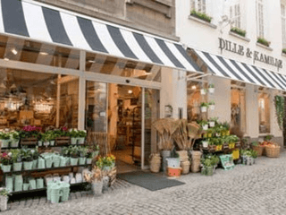 Op bezoek bij Dille & Kamille in Antwerpen