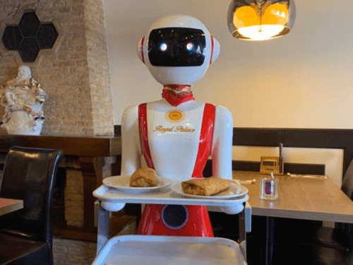 Horeca retailers gaan robot obers inzetten