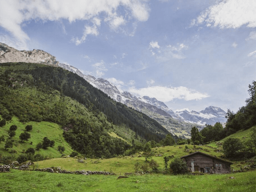 Bergbezorging op de Alpe d'Huez door Jumbo-Visma en Gorillas