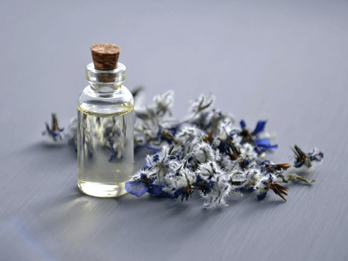 Laat je inspireren door Algorithmic Perfumery